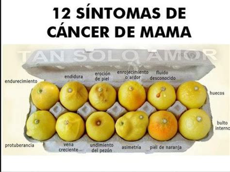 12 #síntomas del #cancer de #mama | Salud Femenina ...