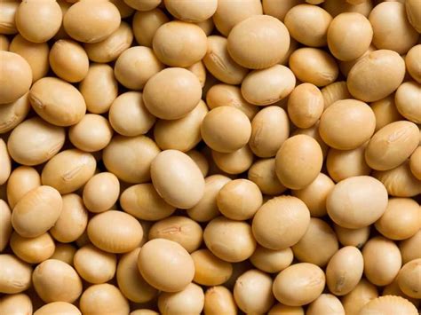 13 Amazing Benefits of Soybeans | Organic Facts