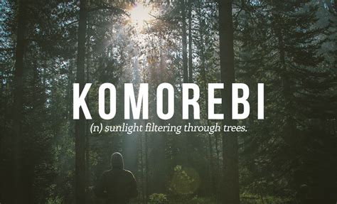 14 Perfect Japanese Words You Need In Your Life
