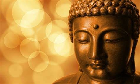 140 Frases de Buda para reflexionar sobre la vida
