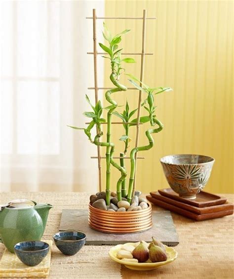15 Flores y vegetales que puedes cultivar fácil en un vaso ...