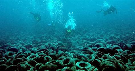 15+ Fotos misteriosas del fondo del mar que te revelarán ...