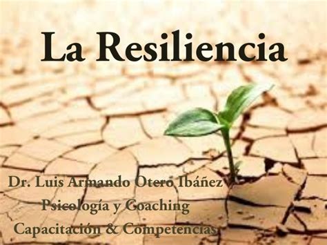 15 la resiliencia