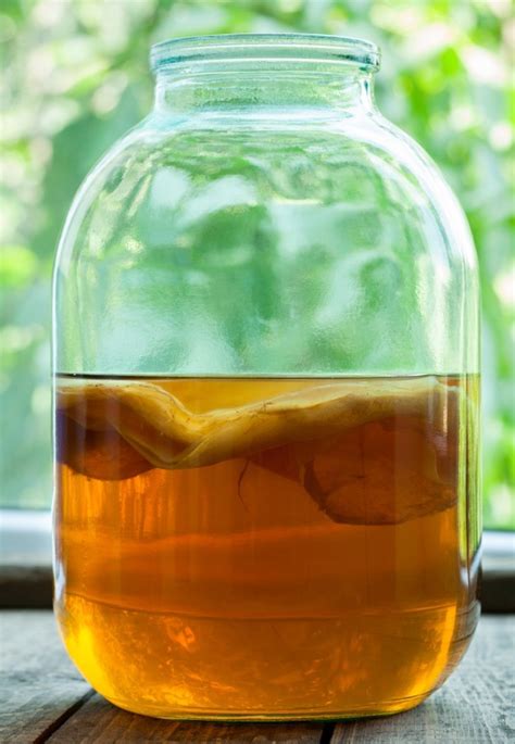 15 Reasons To Drink Kombucha and How to Make Your Own