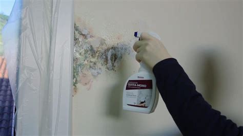 15 tips para quitar manchas de humedad en paredes