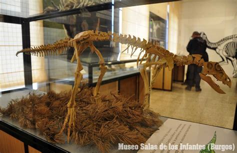 150.000 razones para un museo de dinosaurios en Castilla y ...