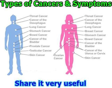 155 best images about Cancer sucks on Pinterest | Oral ...