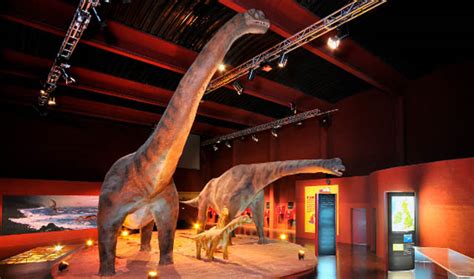 16 museos donde ver fósiles de dinosaurios en España