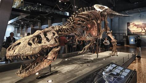16 museos donde ver fósiles de dinosaurios en España ...