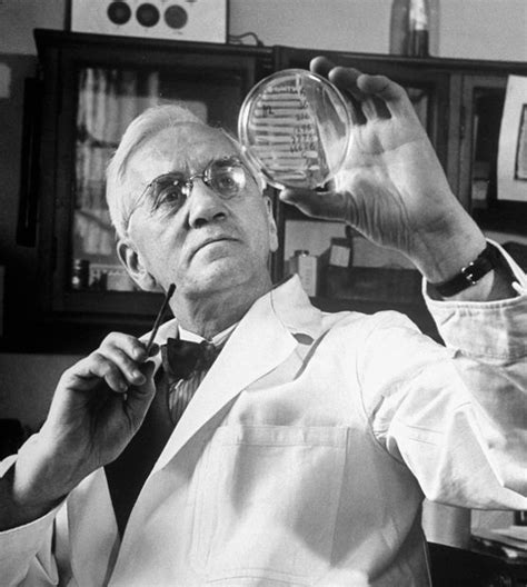 17+ best ideas about Alexander Fleming on Pinterest ...