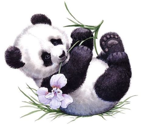 17 best ideas about Baby Pandas on Pinterest | Baby panda ...
