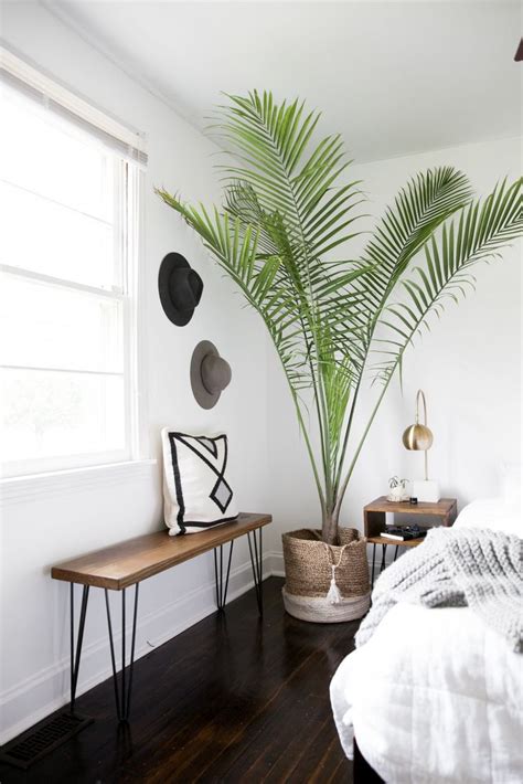 17 Best ideas about Bedroom Plants on Pinterest | Plants ...