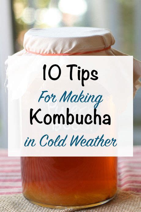 17 Best ideas about Kombucha on Pinterest | Kombucha ...