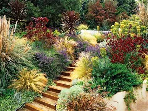 17 Best ideas about Mediterranean Garden on Pinterest ...