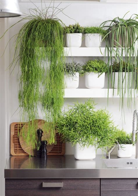 17 Best images about Green on Pinterest | Gardens ...