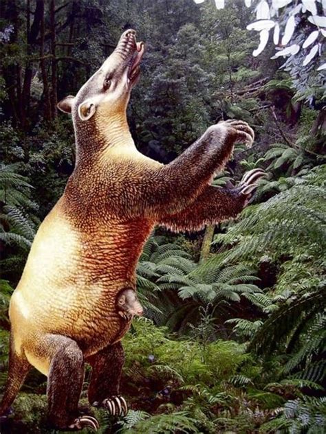 17 Best images about Prehistoric Mammals on Pinterest ...
