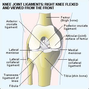 17 Best images about Sports injuries on Pinterest | Knee ...