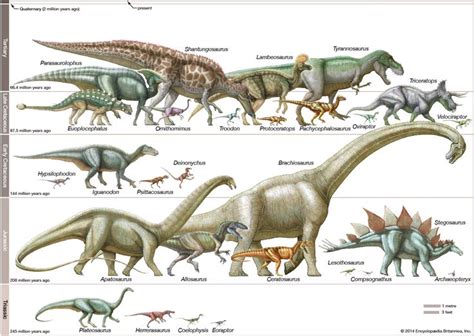 17 Best images about Theropoda on Pinterest | Trees ...