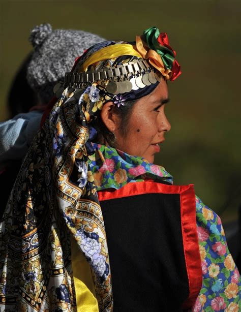 17 Best images about Vestimenta Mapuche on Pinterest ...