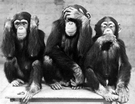 17 meilleures idées à propos de Three Wise Monkeys sur ...