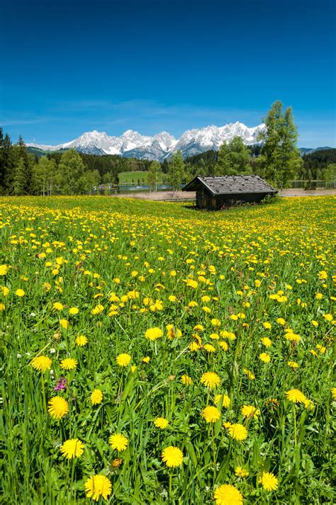 17 razones para visitar Austria