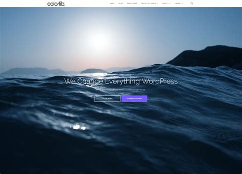 20 Free WordPress Travel Themes for Travel Blogs & Agency ...
