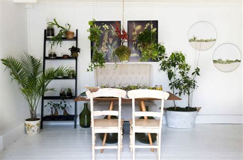 20 macetas y plantas colgantes para decorar   pisos Al día ...