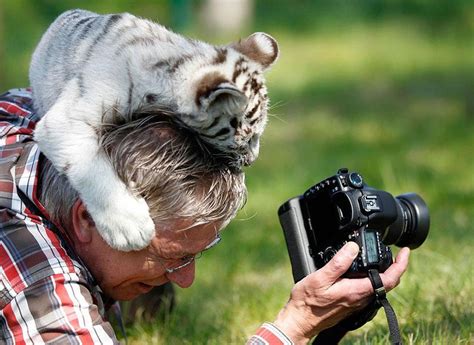 20+ Reasons Why Being A Nature Photographer Is The Best ...