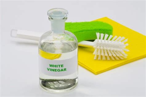 20 usos del vinagre blanco que no te puedes perder