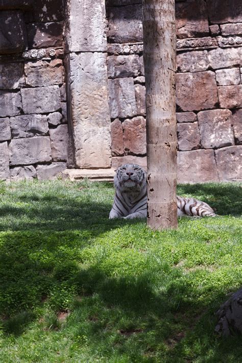 2012 – Spain Zoo | frozentimes.net