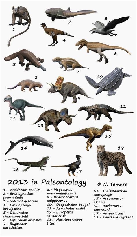 2013_in_paleontology_NT.jpg  800×1380  | Science ...