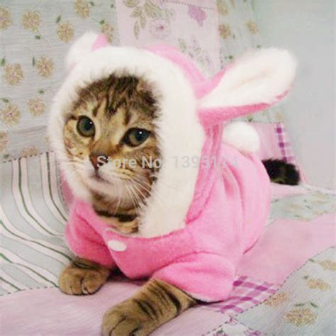2016 New Cute Pet Cat Clothes Easter Bunny Costume Cat Dog ...