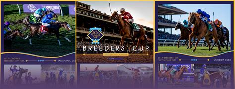 2018 Breeders’ Cup Racing Calendar | Breeders  Cup Photography
