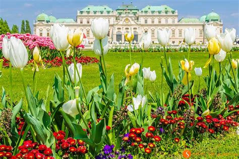 21 Lugares imprescindibles que ver en Viena en 2 ó 3 días