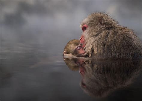 23 Best Travel Photos Of 2016 By National Geographic