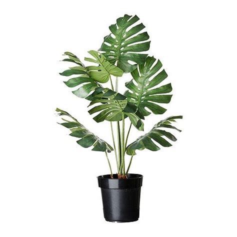 $24.99   FEJKA Artificial potted plant IKEA Lifelike ...