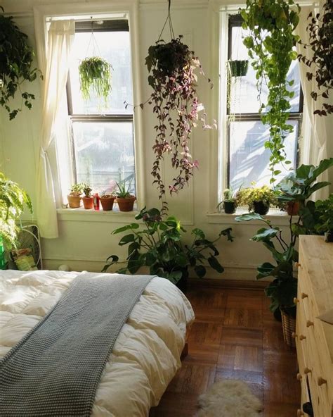 25+ best ideas about Bedroom Plants on Pinterest | Plants ...