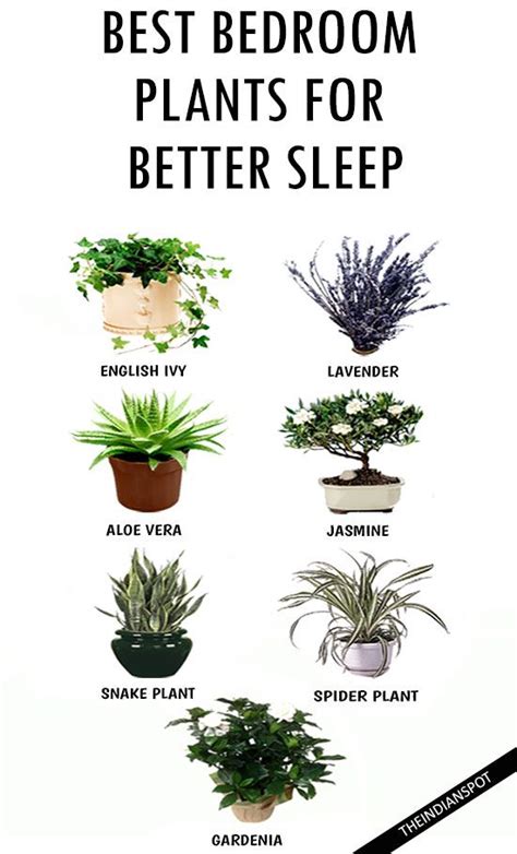 25+ best ideas about Bedroom plants on Pinterest | Plants ...