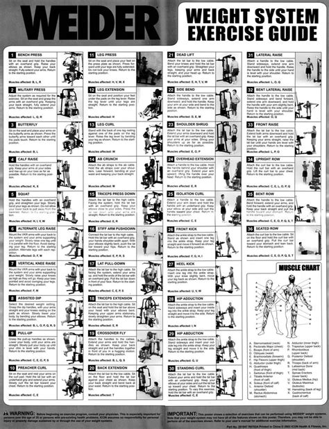 25+ best ideas about Exercise Chart on Pinterest | Muscle ...