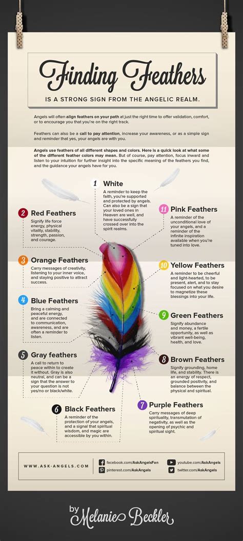 25+ best ideas about Feathers on Pinterest | Feather ...