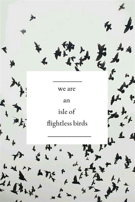 25+ best ideas about Flightless Bird on Pinterest ...