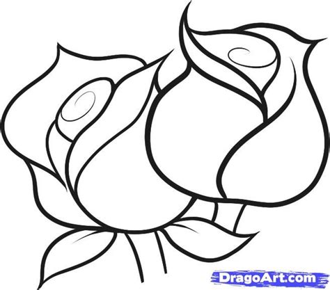 25+ best ideas about Flower Line Drawings on Pinterest ...