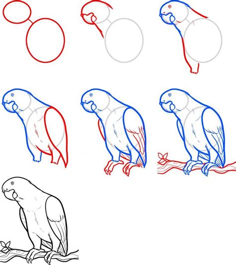 25+ best ideas about How To Draw Birds on Pinterest | Bird ...