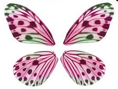 25+ best ideas about Mariposas Para Imprimir on Pinterest ...