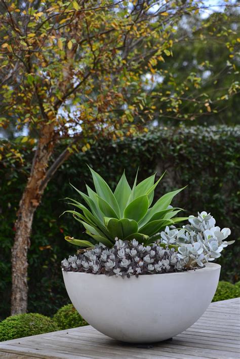25+ best ideas about Patio Planters on Pinterest | Outdoor ...