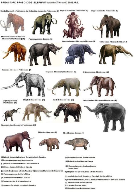 25+ best ideas about Prehistoric Animals on Pinterest ...