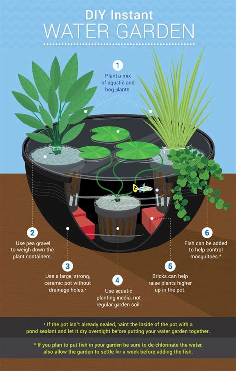 25+ best ideas about Water plants indoor on Pinterest ...