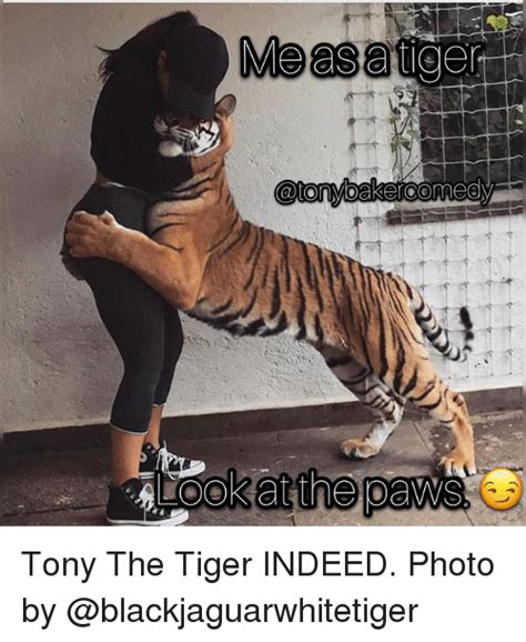 25+ Best Memes About Tony the Tiger | Tony the Tiger Memes
