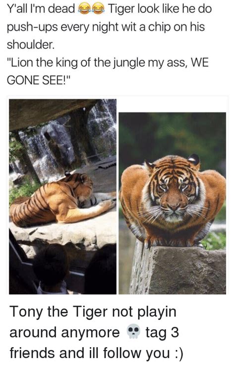 25+ Best Memes About Tony the Tiger | Tony the Tiger Memes