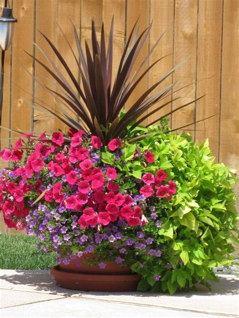 25+ best Outdoor Flower Pots trending ideas on Pinterest ...